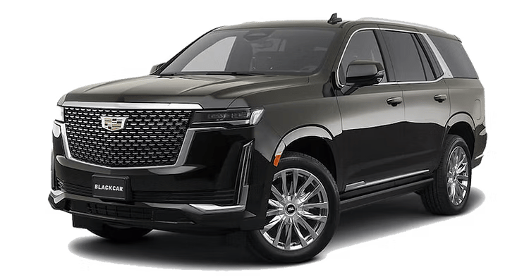 Executive SUV